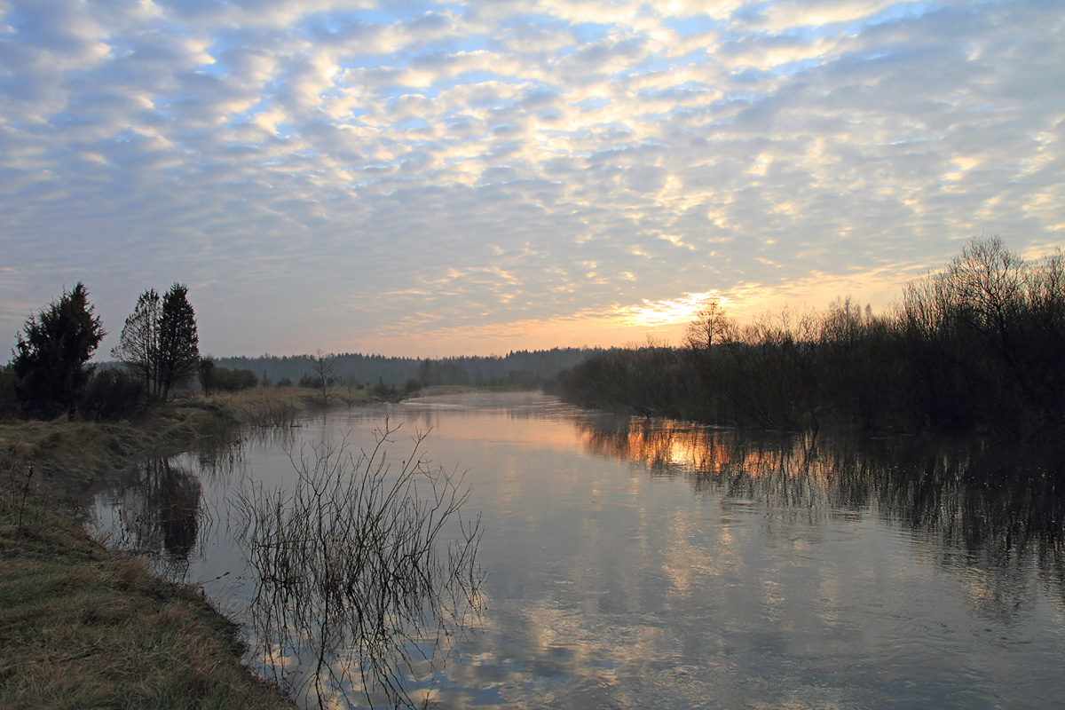 Malen Sie das Morgen im April