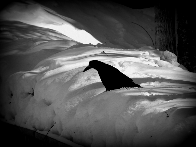 bald Frühling sein ..