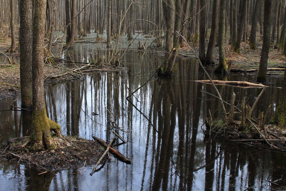 Es Teufel wandert ...