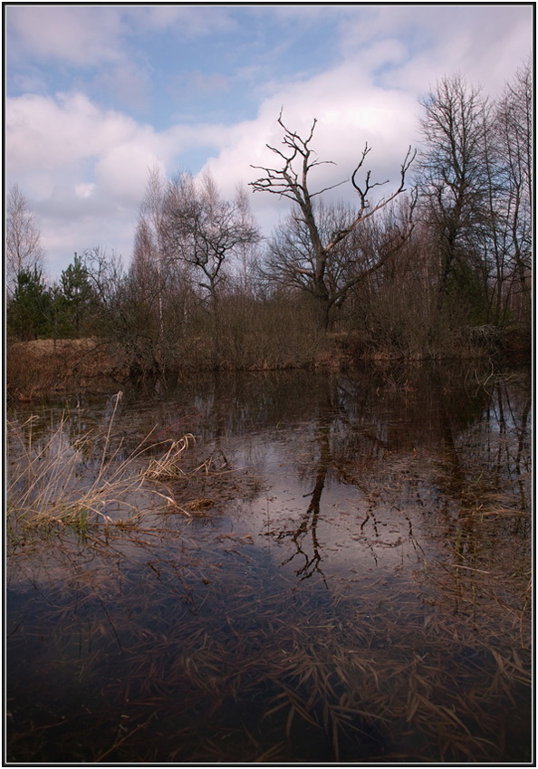 Malen Sie den Morgen des 3. April