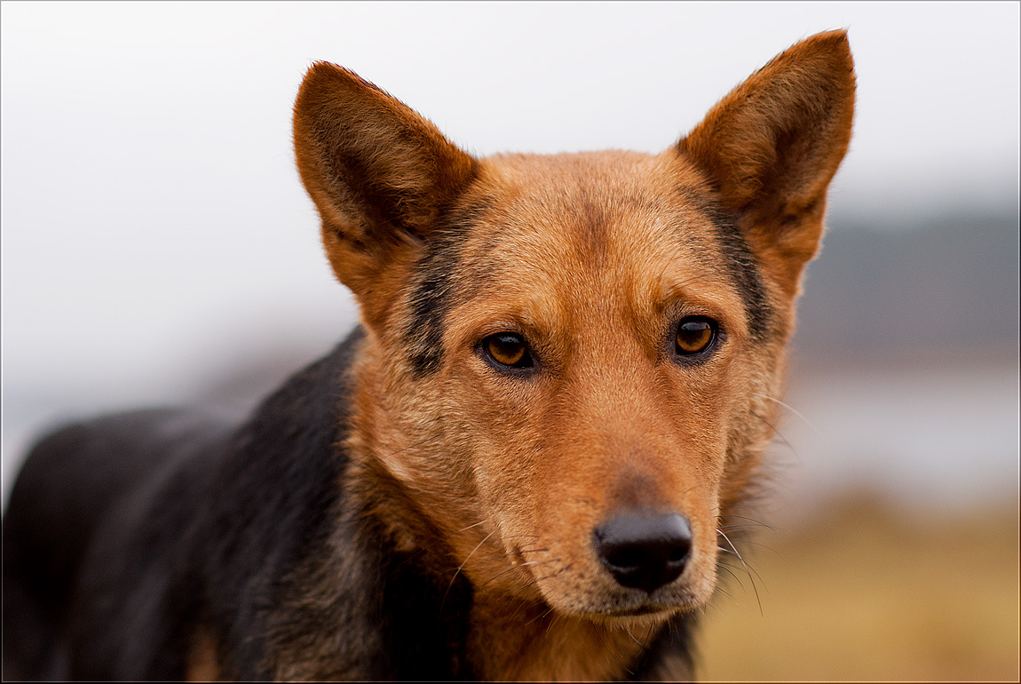 Jemand der Ex-Freund ...