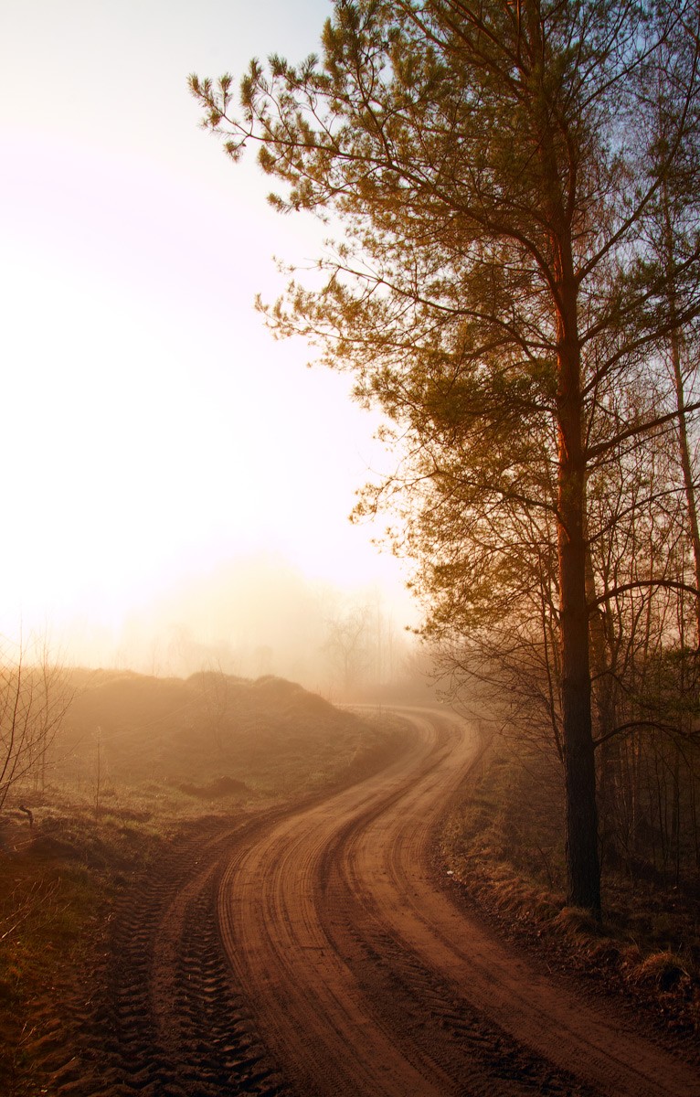 Der Weg des Schicksals ...