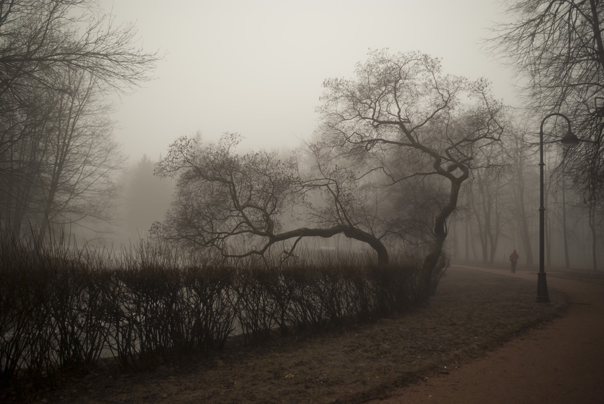 Misty Morning im April