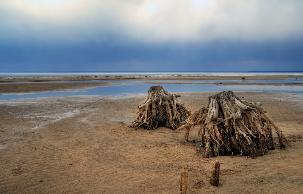 Am Ufer des Ob Reservoir.