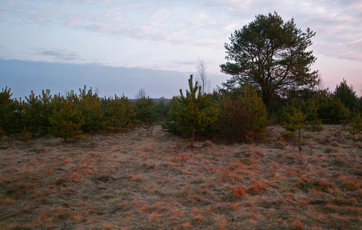 Die ersten Strahlen der