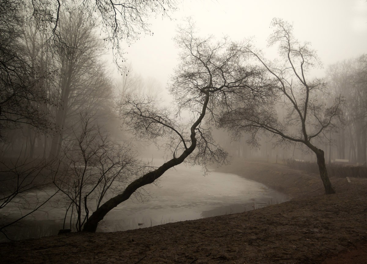 Misty Morning im April