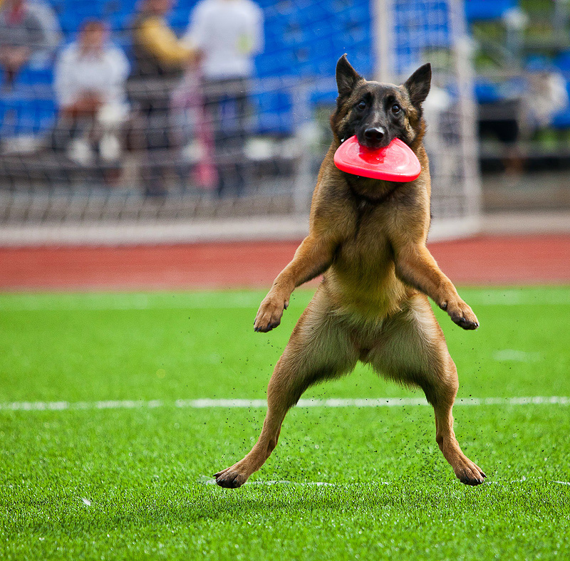 Der Ball wird genommen