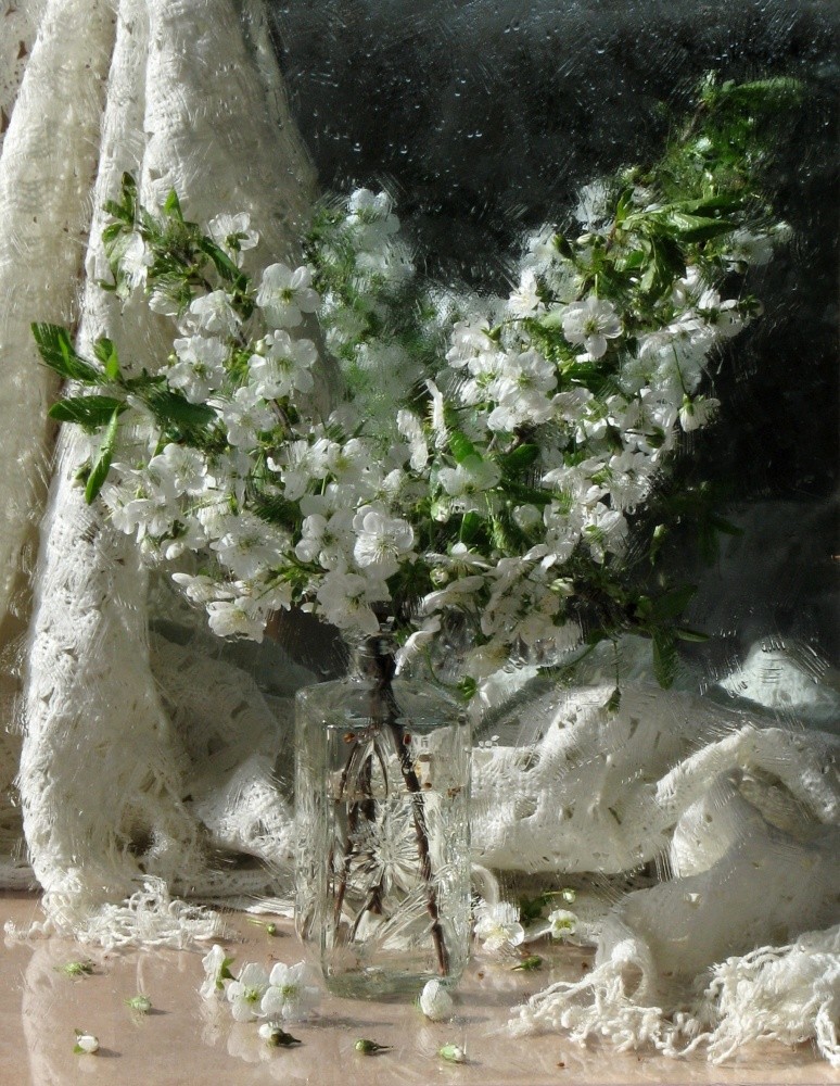 Die Farbe der Kirsche