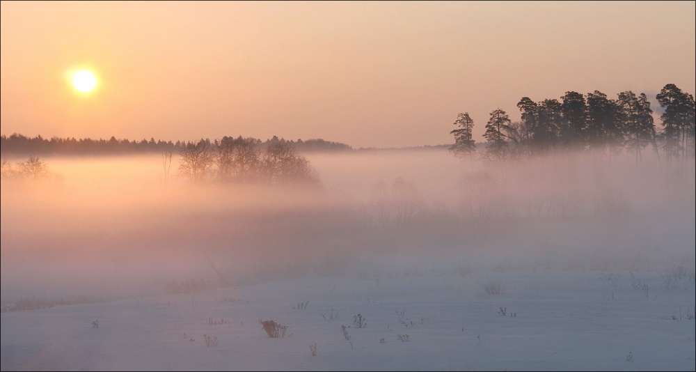 In einem leichten Nebel