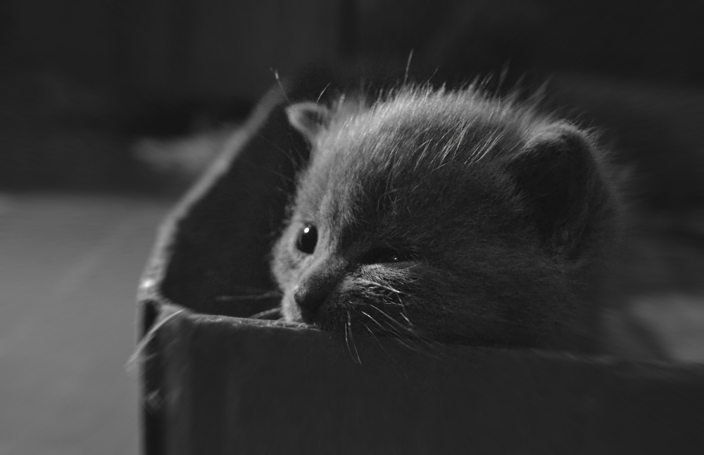 "... Und dann die ganze Welt ..."