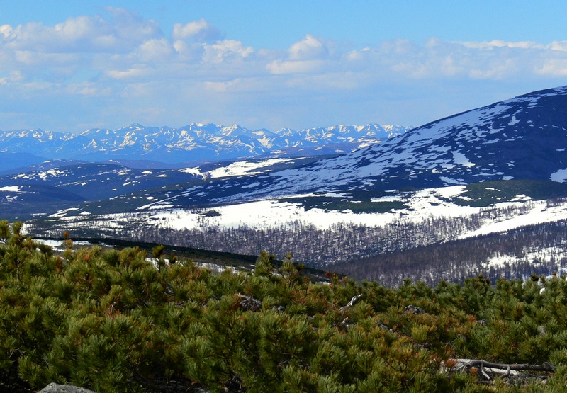 Die natürliche Tarnung von 2