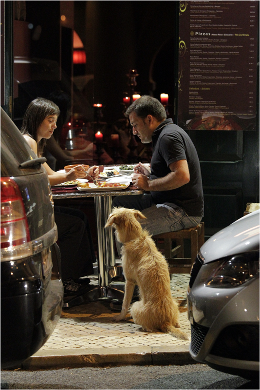 Persistent Erwartung