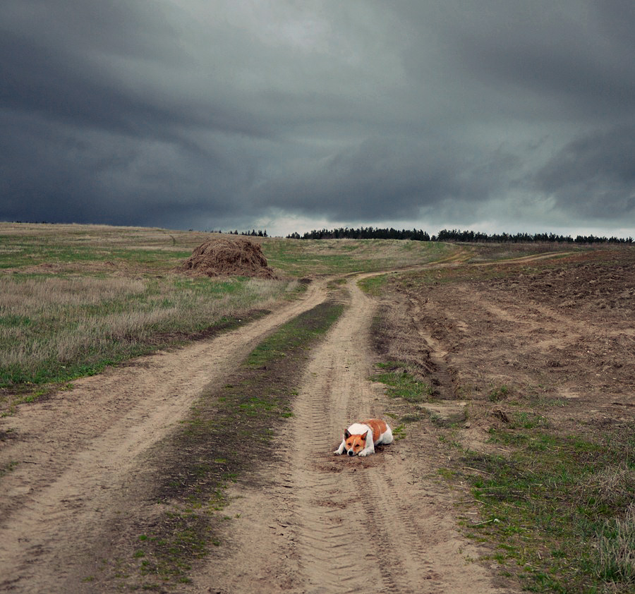 einen Freund verloren ....