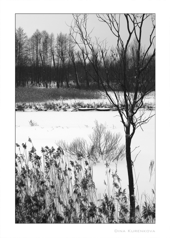 Die Linien und Flecken