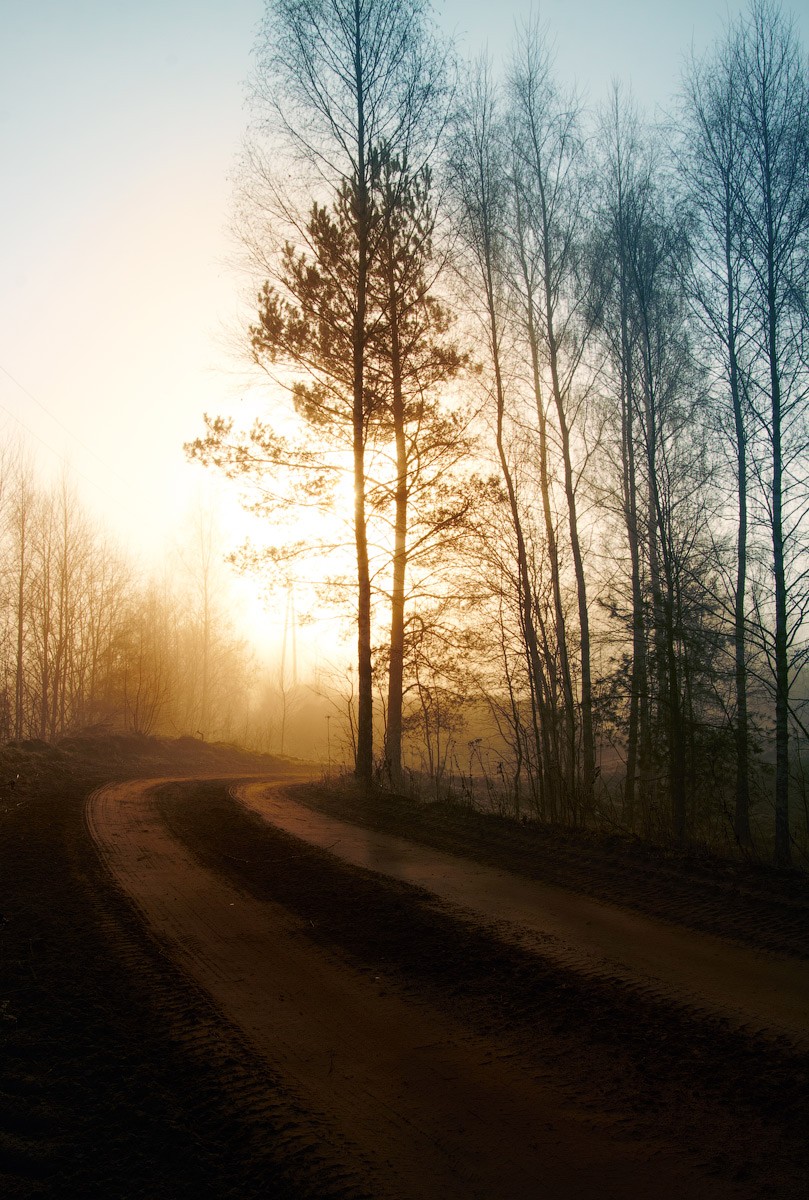 Alles Leben kommt erst noch ...