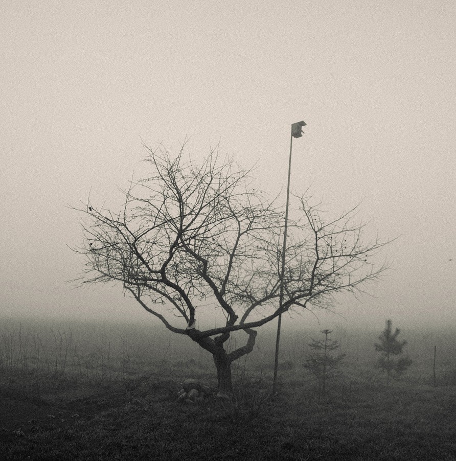 not flying weather...