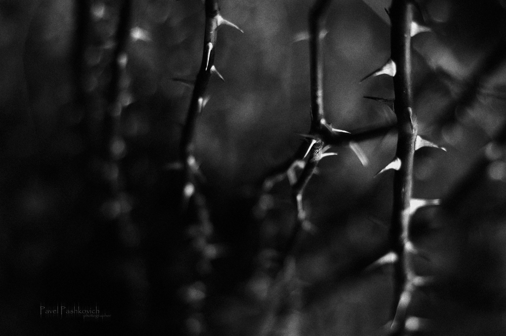 I'll show you my world