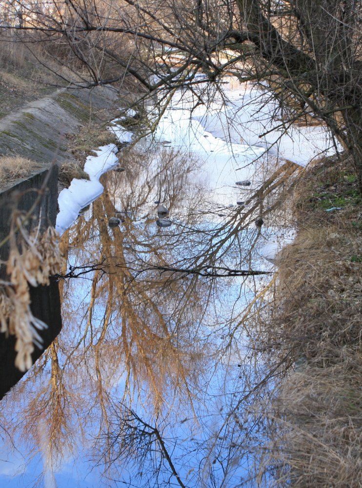 spring of my mind 2011