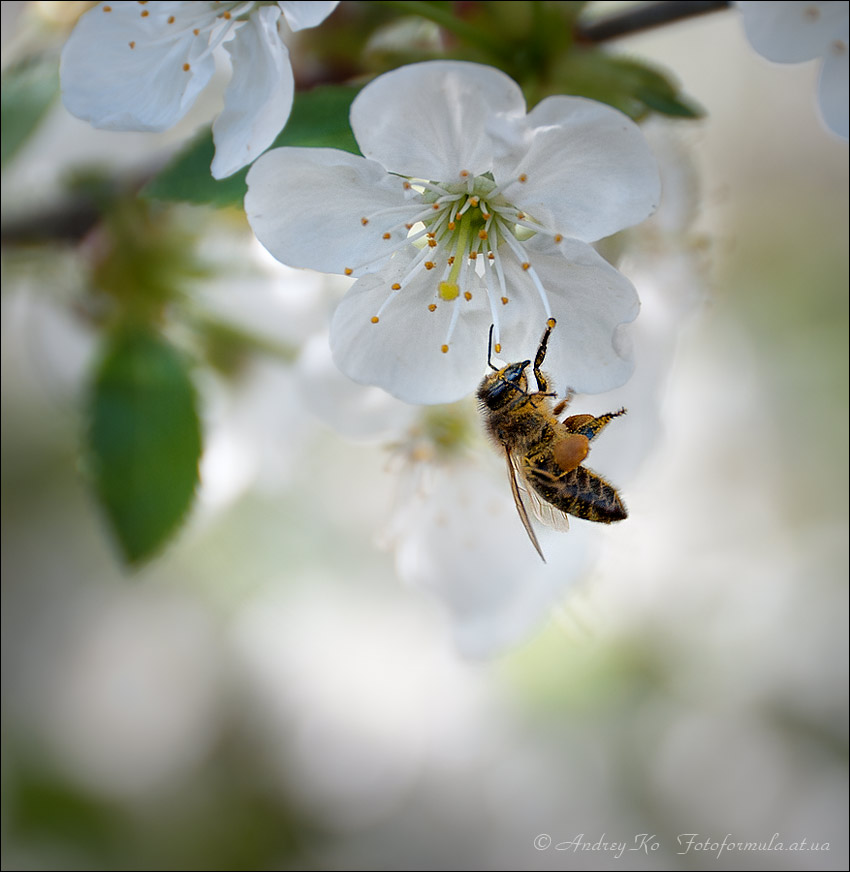 Oh, ich bin müde heute ...