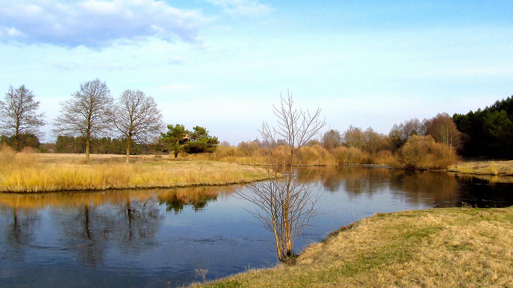 Neman in Überschwemmungsgebieten