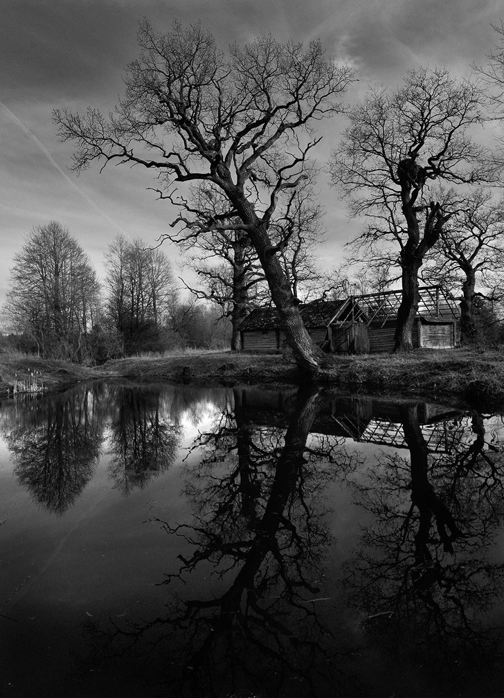 der alte Teich waren drei Eichen ...