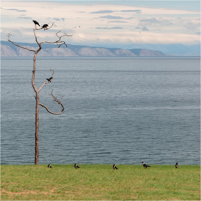 Strukturierung nestruktuiruemogo