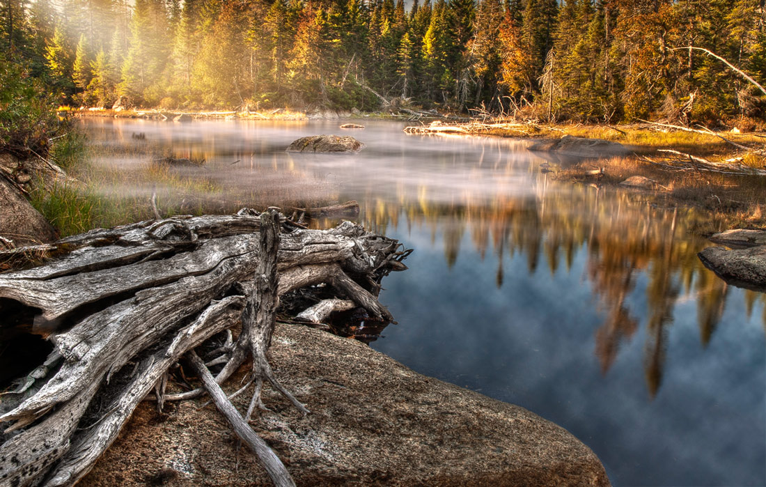 Dawn auf einem wilden See