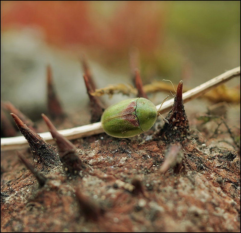 Klopfen Sie STOP, ...