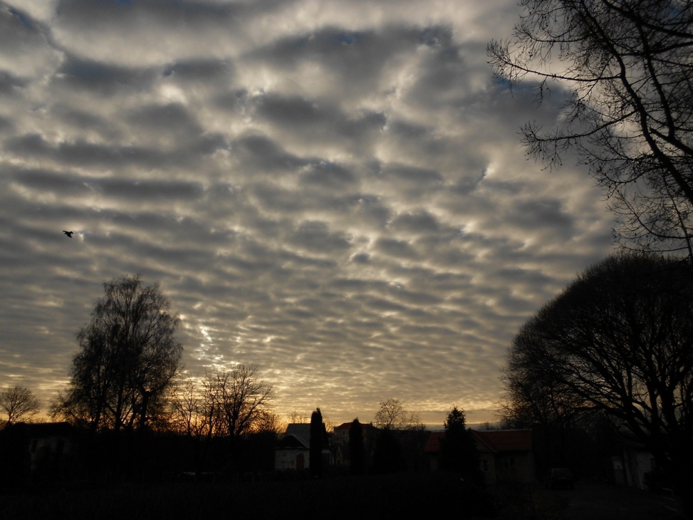 Der Himmel über dem Garten