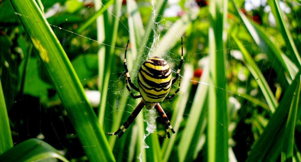 B, um die Schönheit eines unangenehmen sehen