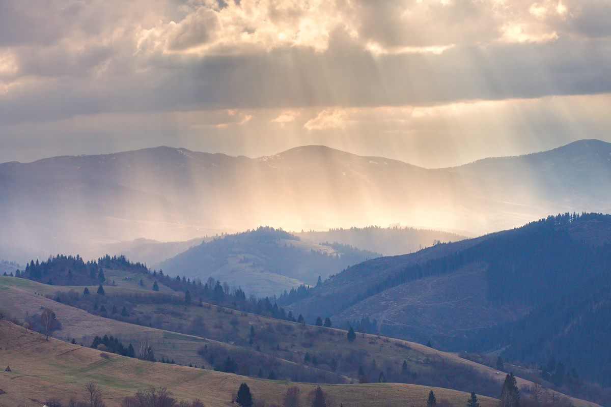 Frühling Licht ergießt ............