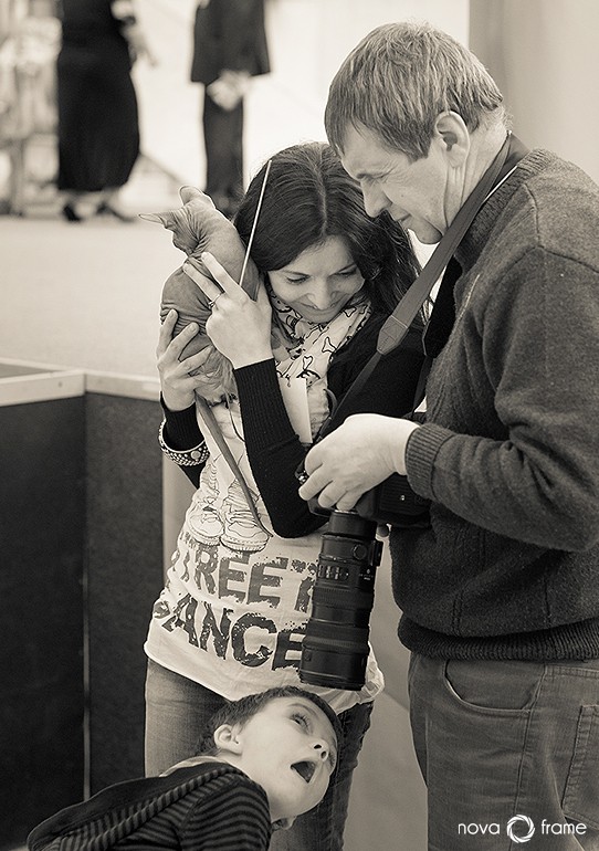 Die Kehrseite ......