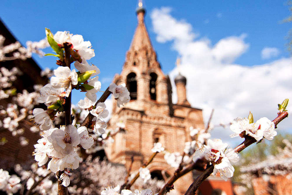 Sommer in Moskau, 2012