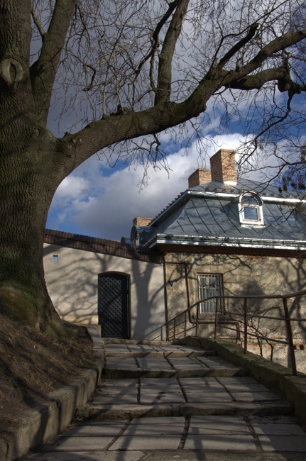 Unter dem blauen Himmel