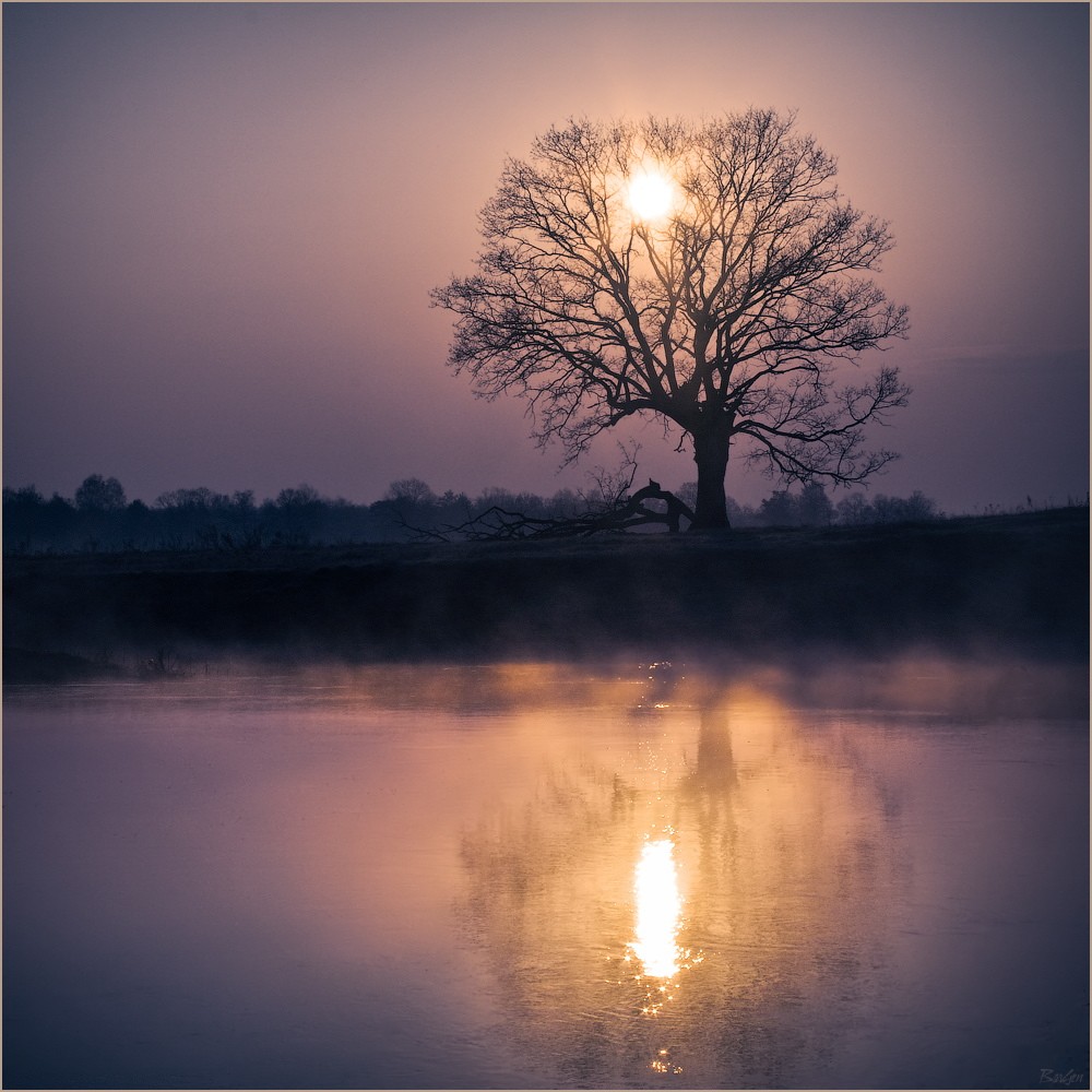 Morgen auf dem Fluss