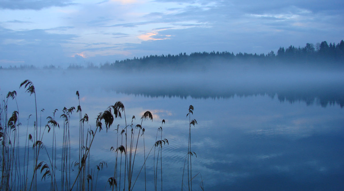 Serie: Nebel Nummer 7