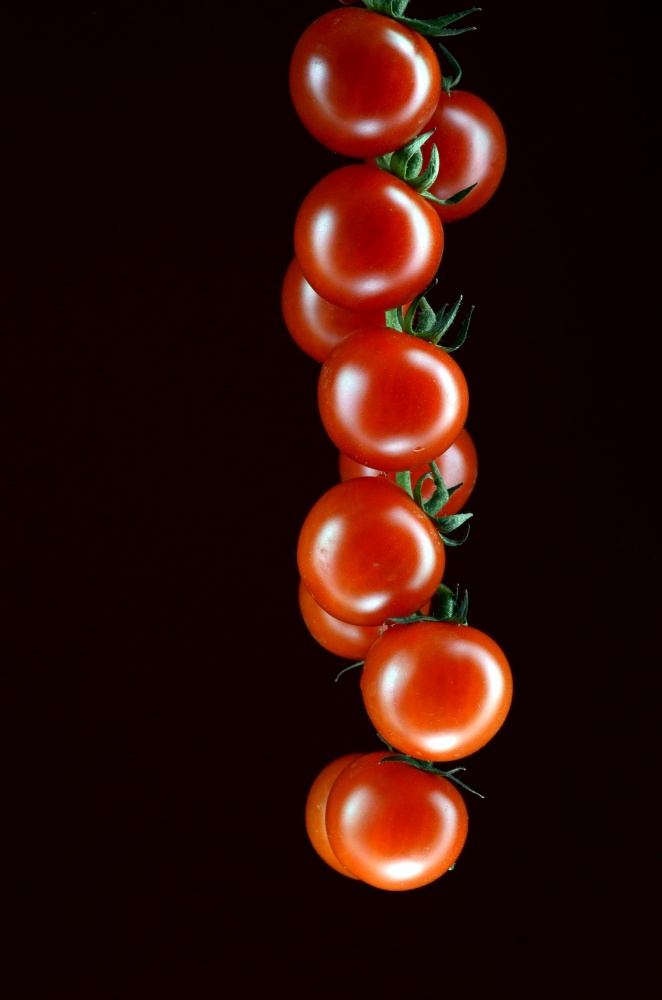 Tomaten auf einem Ast