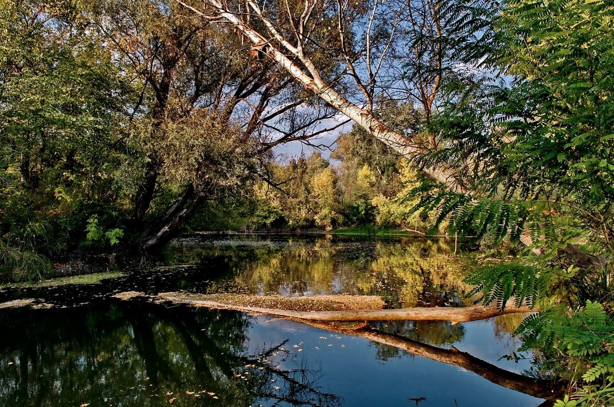 Einer ruhigen Gegend ...