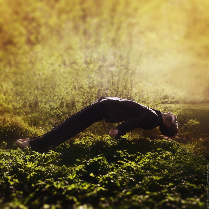 Das Blut war tot und lebendig