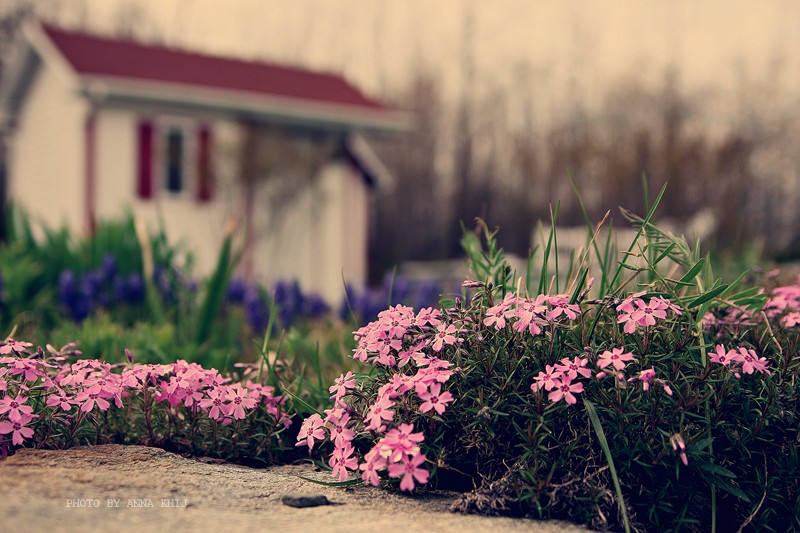 Frühling. Wärme ..