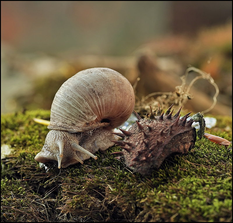 Scheint immer noch nicht ...