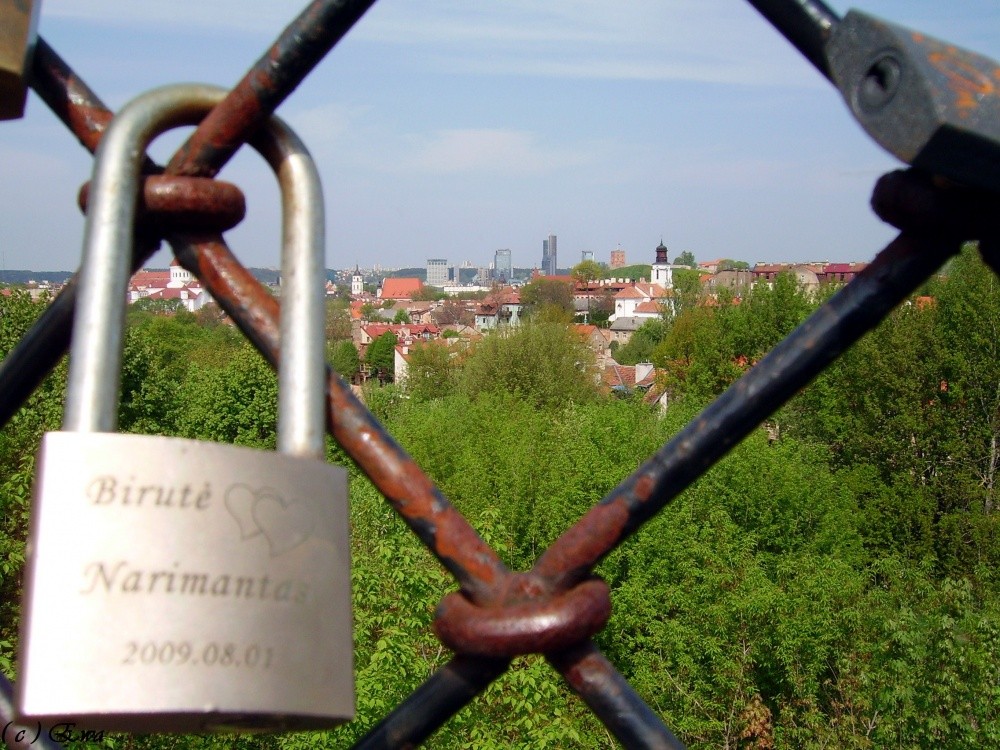 Stadt Vilnius durch die Gitter.