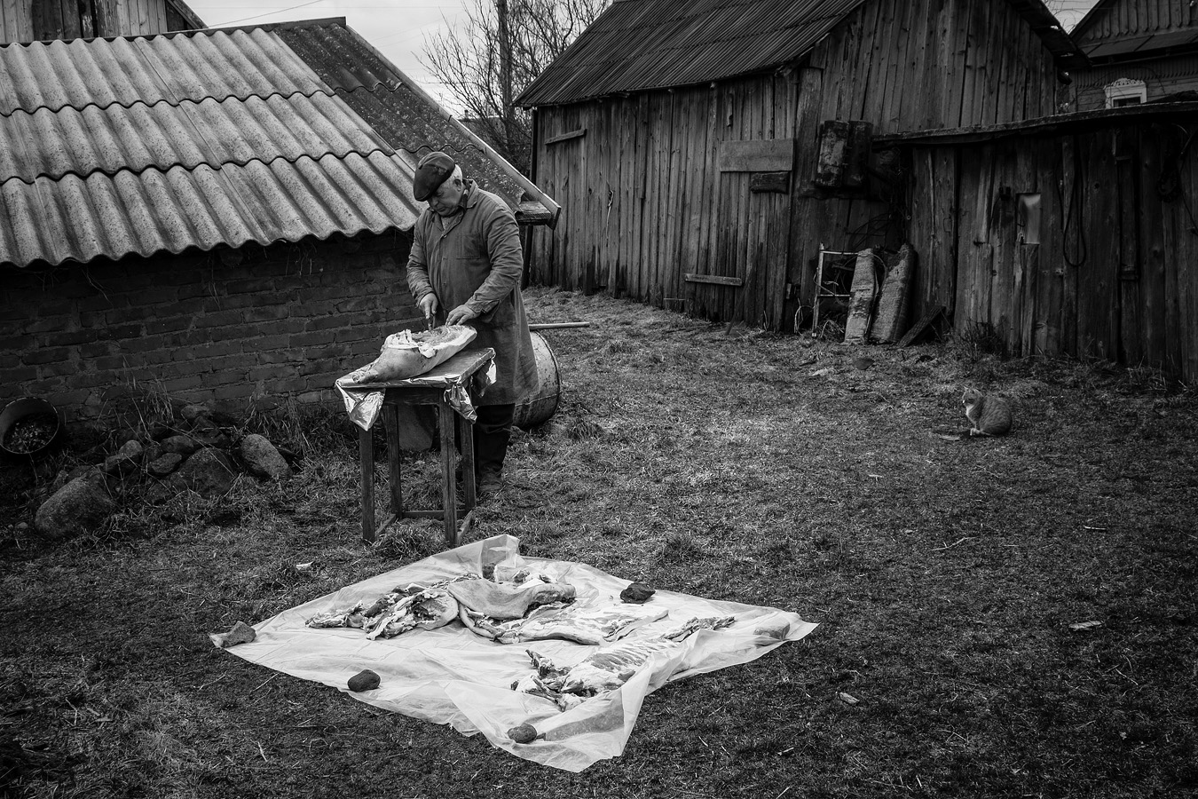 in stiller Vorfreude ...