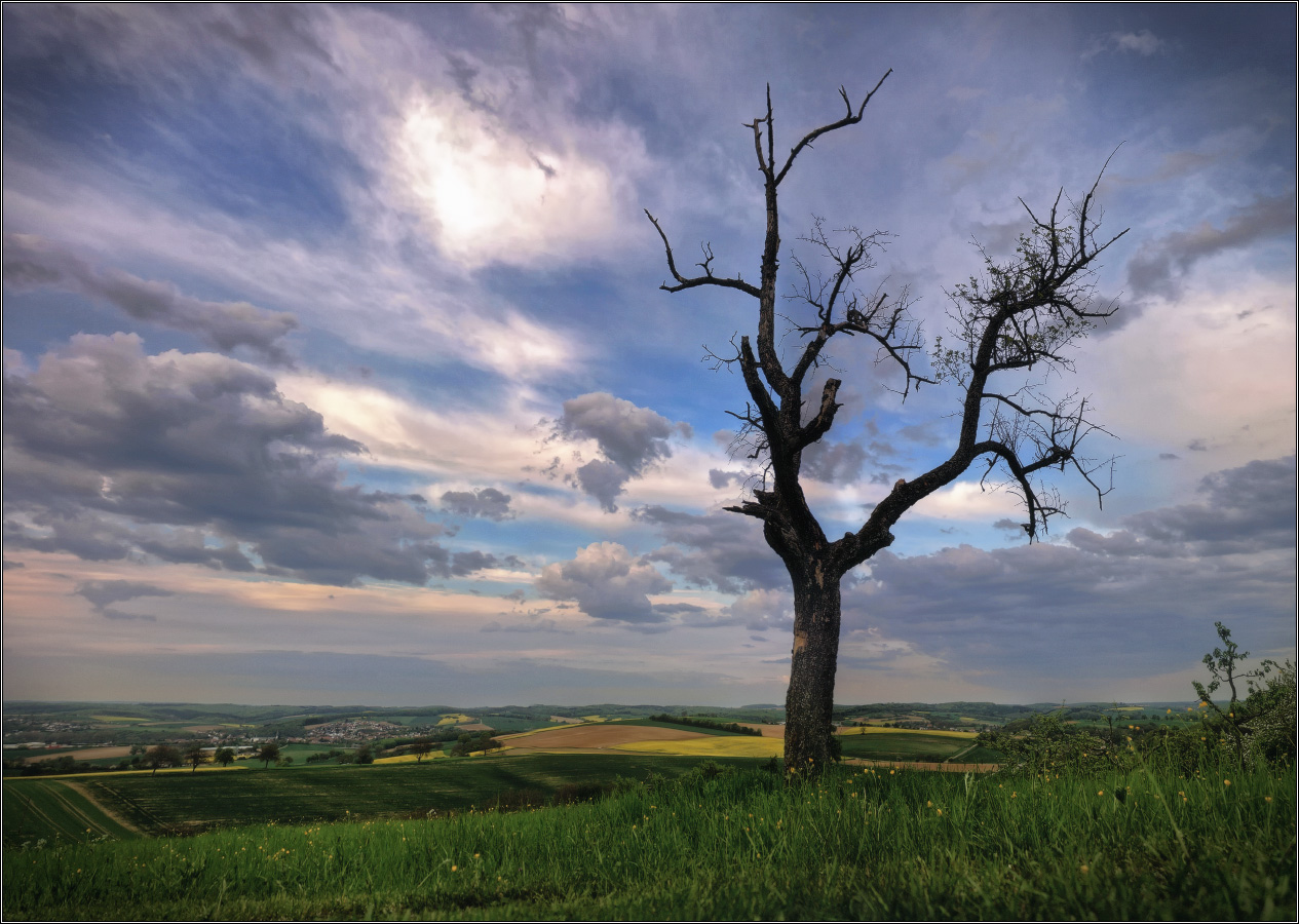 Umgebung Burg Steinsberg. PSOD.