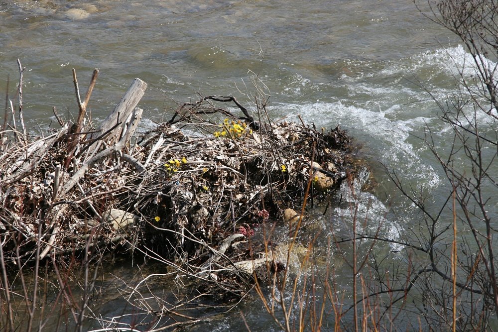 Überschwemmungen im Frühjahr