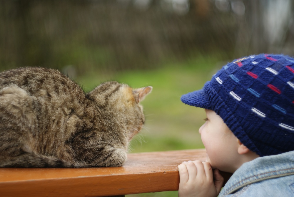 ematsyyanalnaya razmova