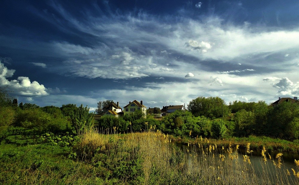 Wings of Frühling ...