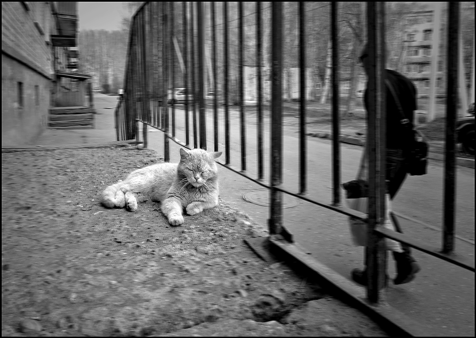 Ein weiteres Konfuzius.