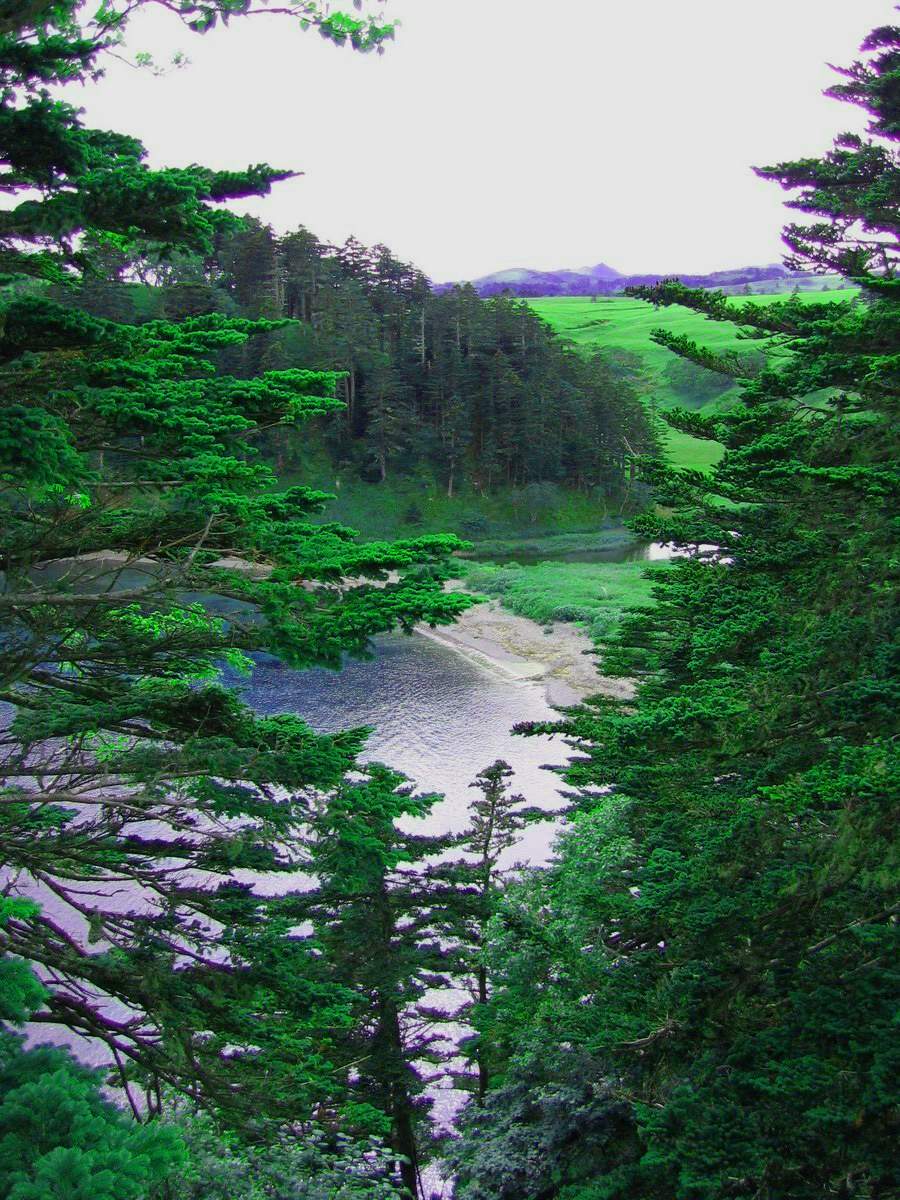 Der Blick von der Klippe