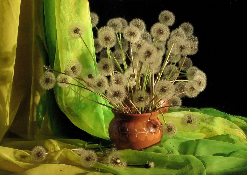 Blumenstrauß aus Löwenzahn